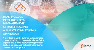 Multi-Cloud Research Report