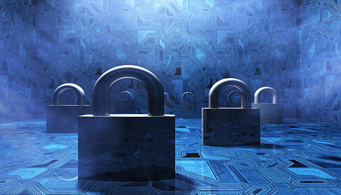 Taking Data Privacy Seriously in the Digital Era