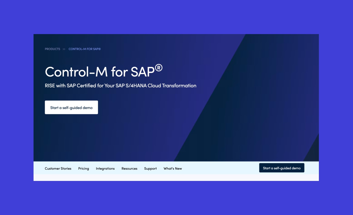 Control-M for SAP
